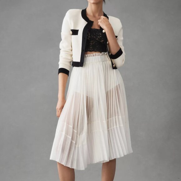 Anthropologie Sheer Pleated A-Line Skirt - Picture 3 of 16